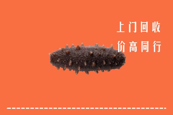 高价求购：黔东南州台江县回收海参